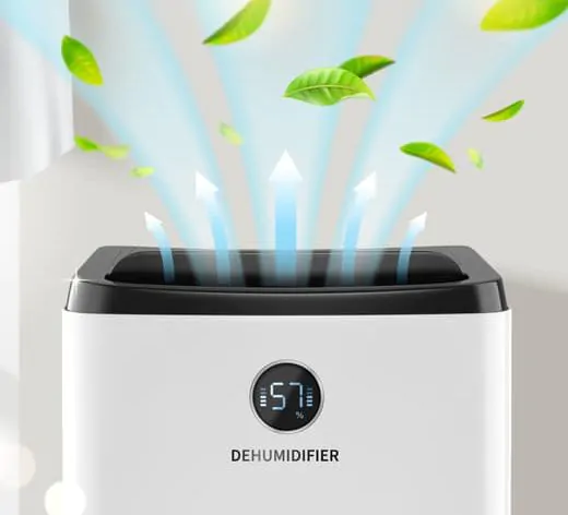 Portata deumidificatore